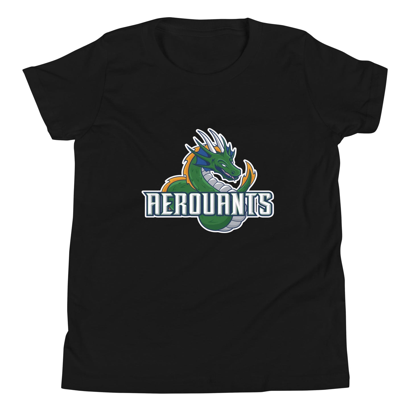 Performance | Youth T-Shirt | Emerald High School Baseball | Dragon Logo