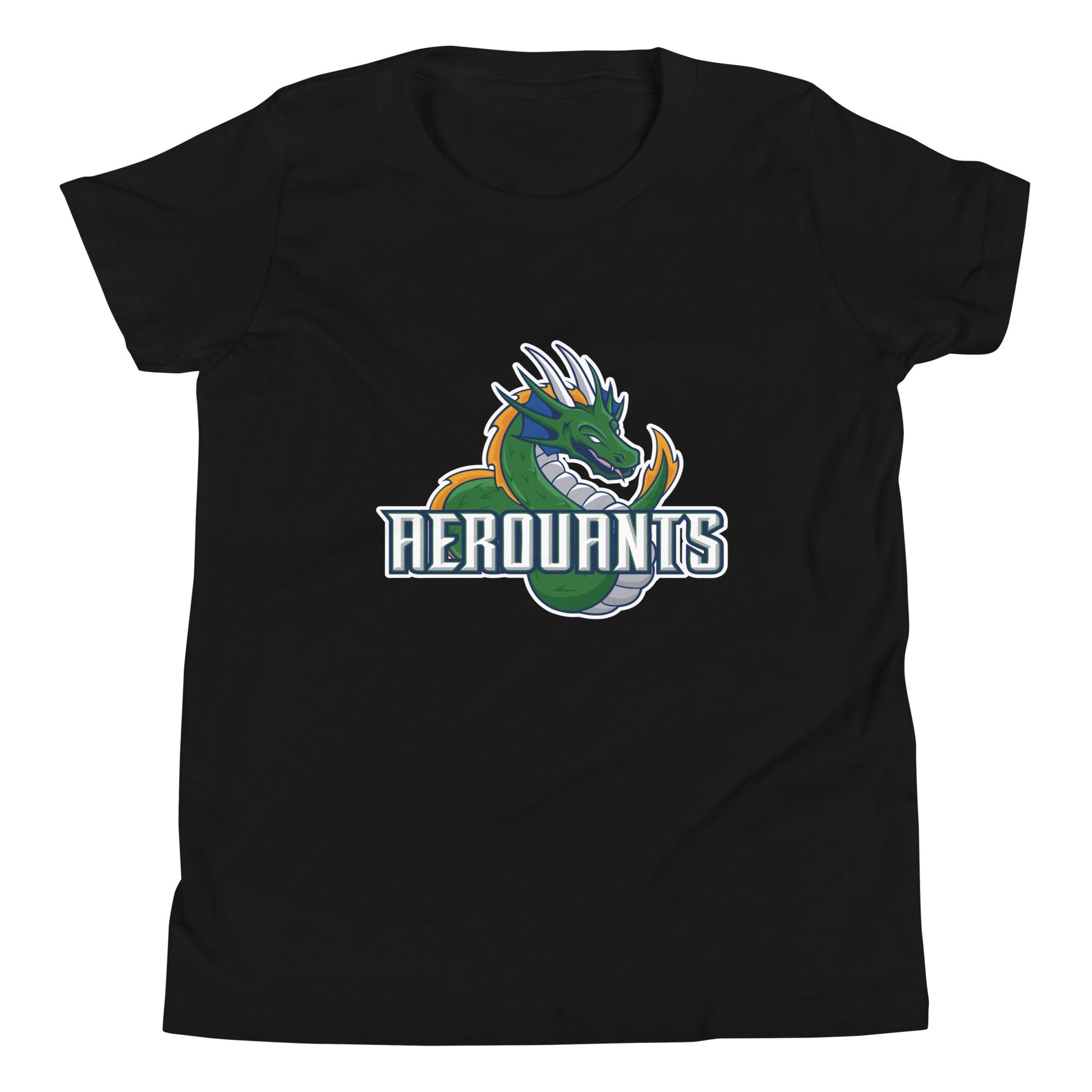 Performance | Youth T-Shirt | Emerald High School Baseball | Dragon Logo