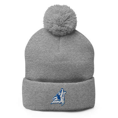 Pom - Pom Beanie | CSN Volleyball | Mascot Logo