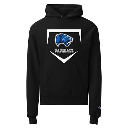 Signature | Champion Hoodie | Denmark Technical College | Baseball Logo