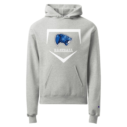 Signature | Champion Hoodie | Denmark Technical College | Baseball Logo
