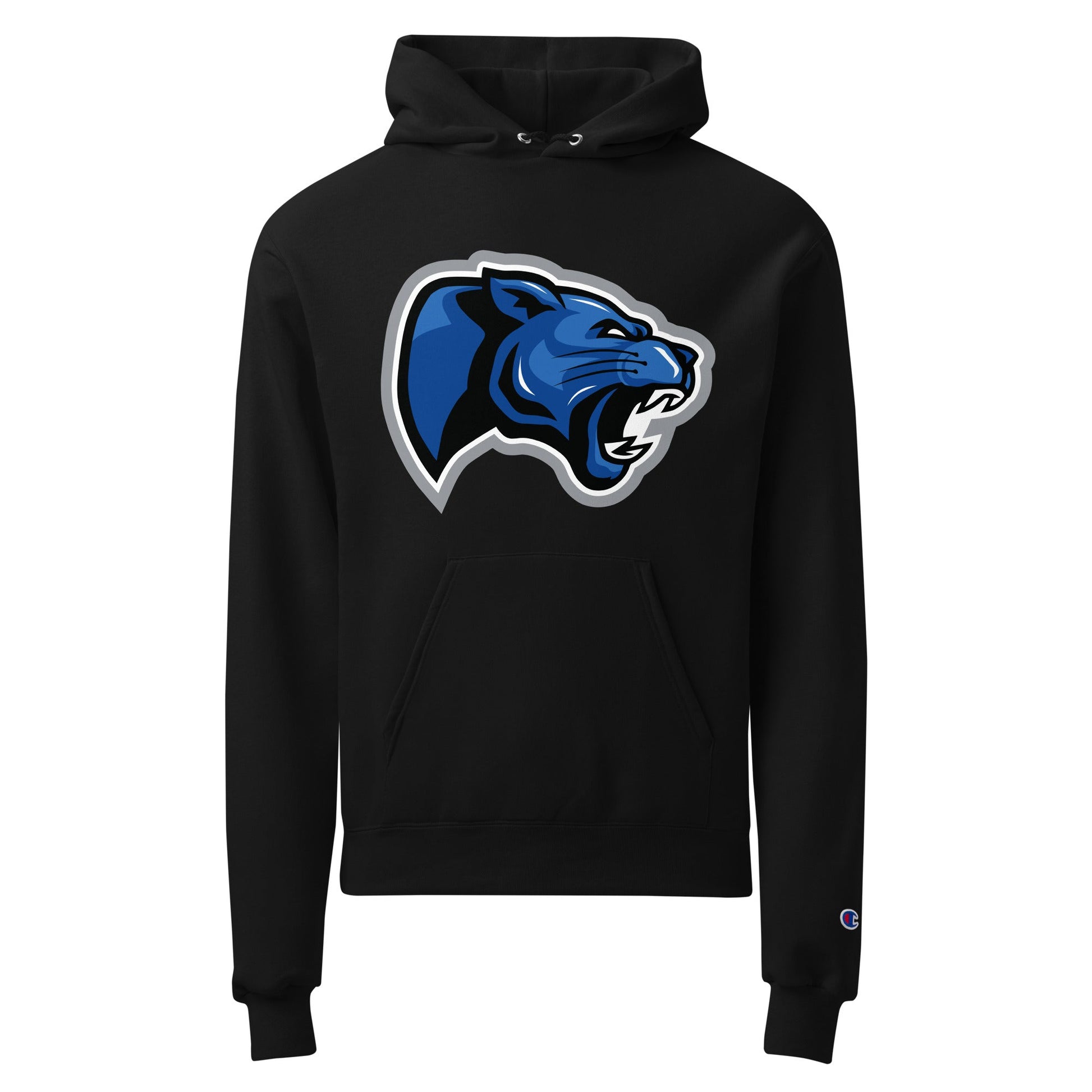 Signature | Champion Hoodie | Denmark Technical College