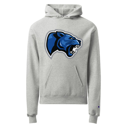 Signature | Champion Hoodie | Denmark Technical College