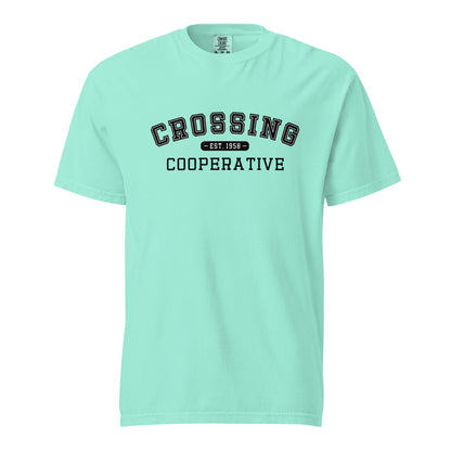 Signature | Comfort Colors T-Shirt | CCNS | Collegiate Logo