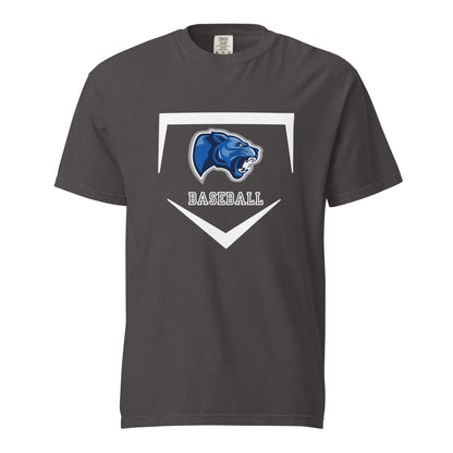 Signature | Comfort Colors T-Shirt | Denmark Technical College | Baseball Logo