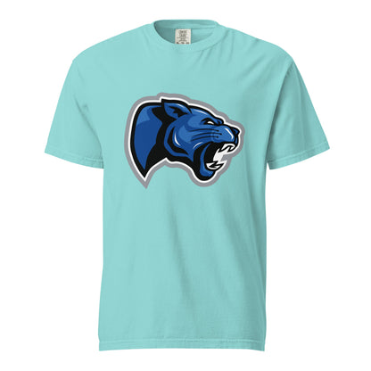 Signature | Comfort Colors T-Shirt | Denmark Technical College