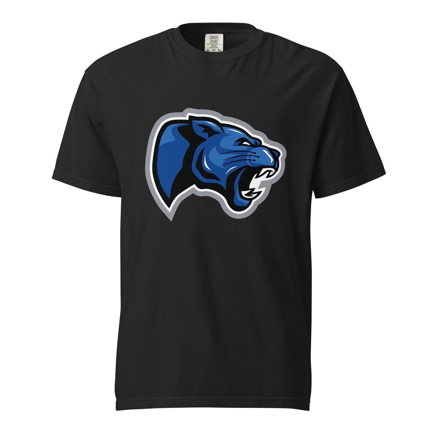 Signature | Comfort Colors T-Shirt | Denmark Technical College
