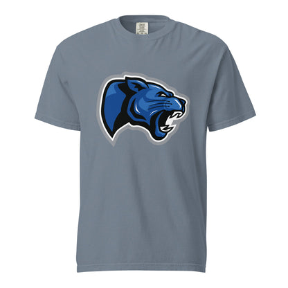 Signature | Comfort Colors T-Shirt | Denmark Technical College