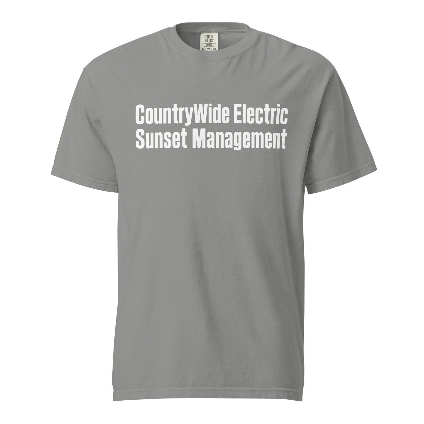 Signature | Comfort Colors T-Shirt | FerDa Chicks | Modern Script Logo