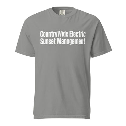 Signature | Comfort Colors T-Shirt | FerDa Chicks | Modern Script Logo
