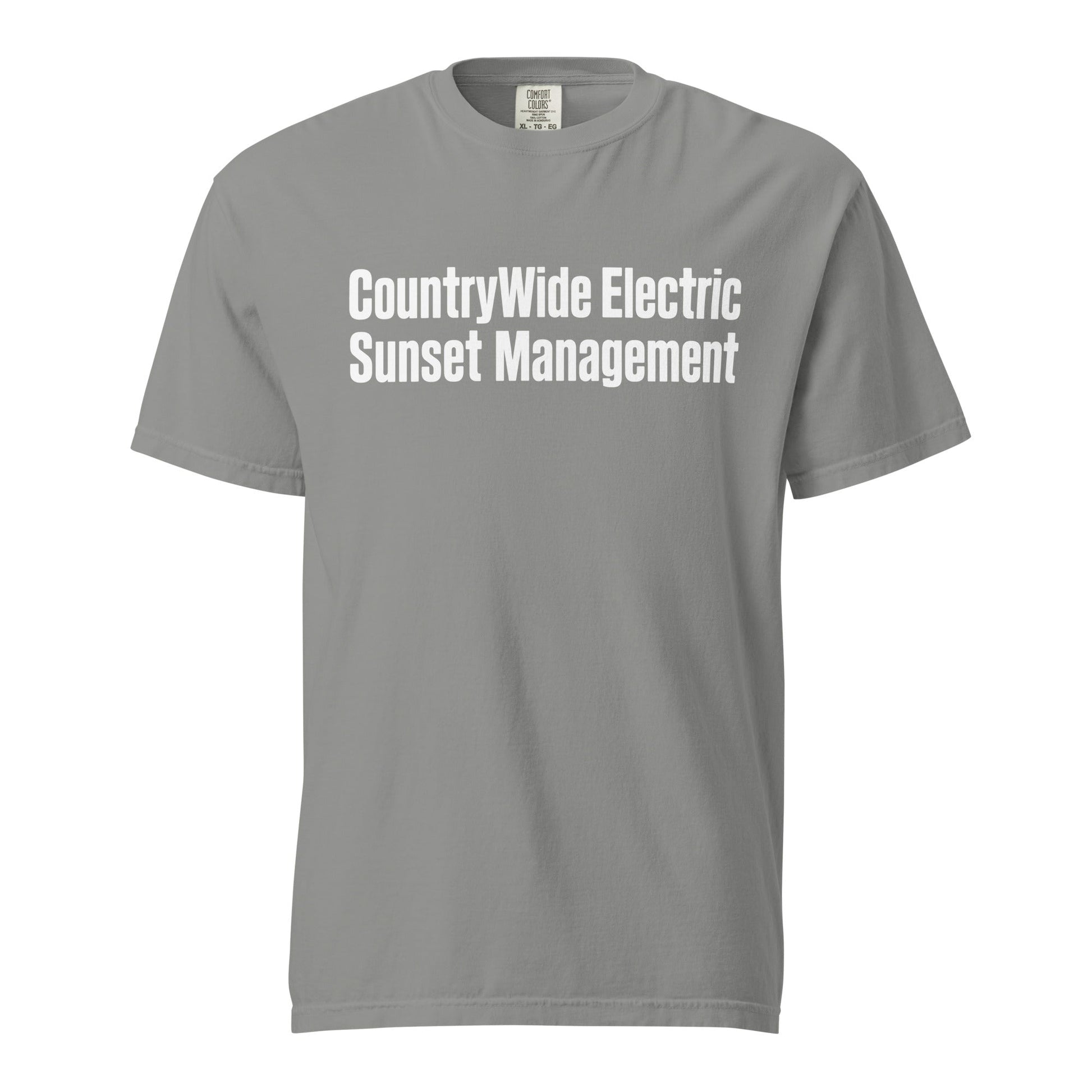 Signature | Comfort Colors T-Shirt | FerDa Chicks | Modern Script Logo