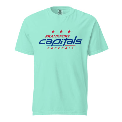 Signature | Comfort Colors T-Shirt | FFYSA | Frankfort Vanguard Logo