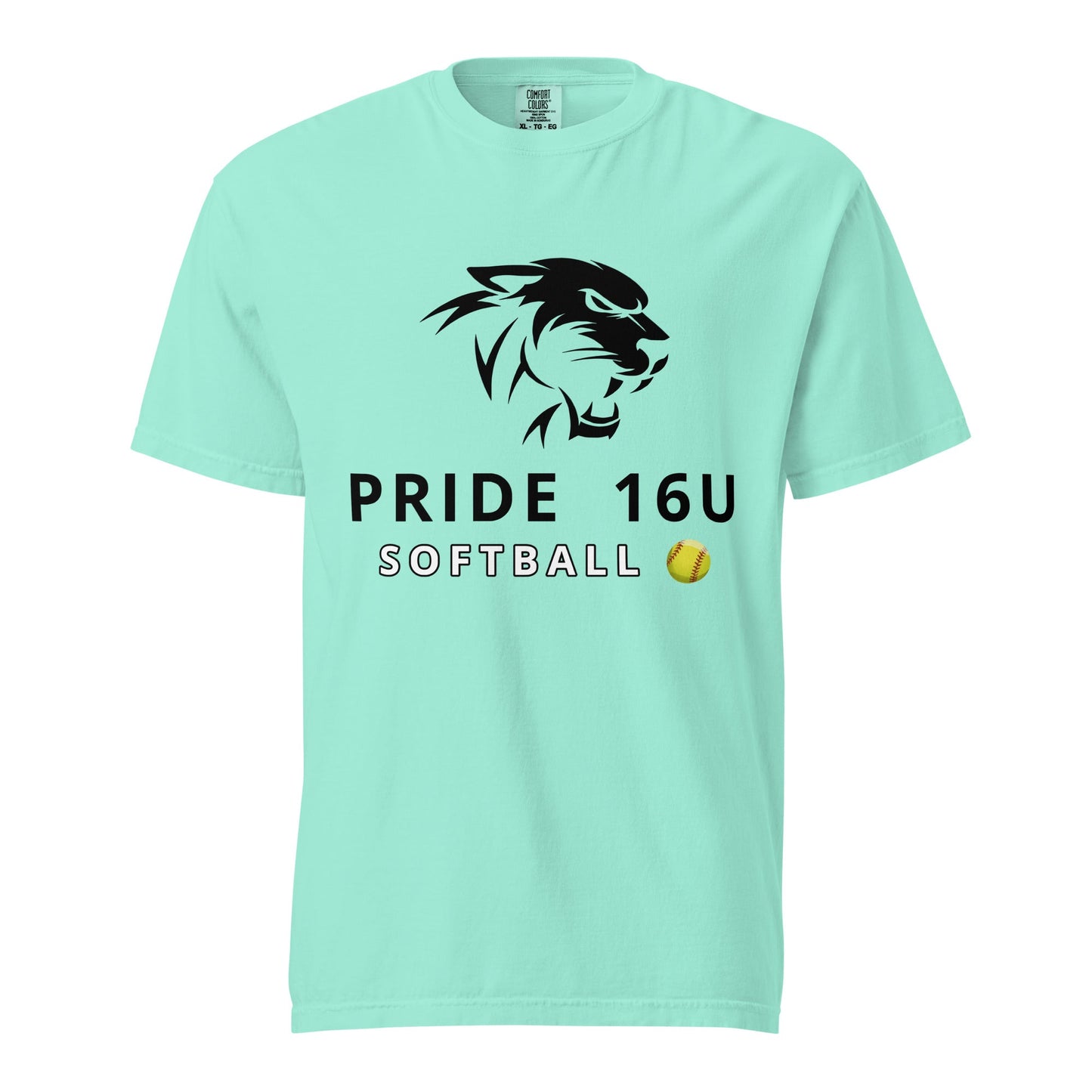 Signature | Comfort Colors T-Shirt | NNY Pride Softball | Emblem Logo