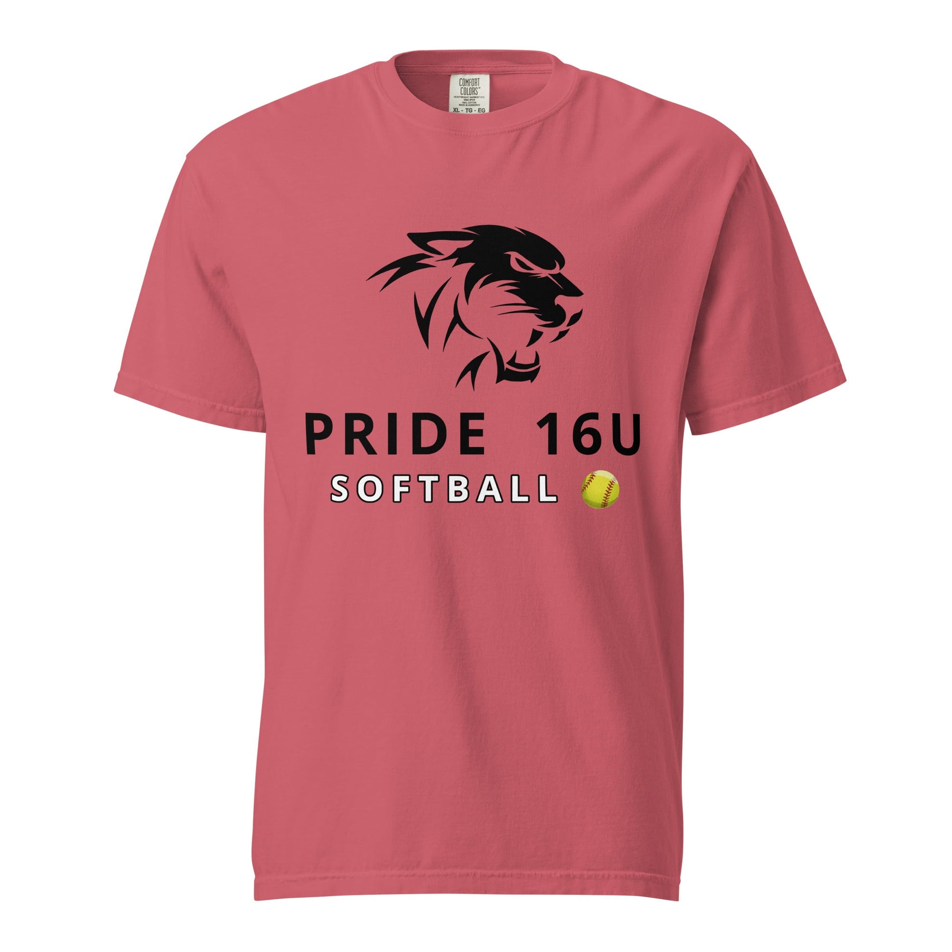 Signature | Comfort Colors T-Shirt | NNY Pride Softball | Emblem Logo