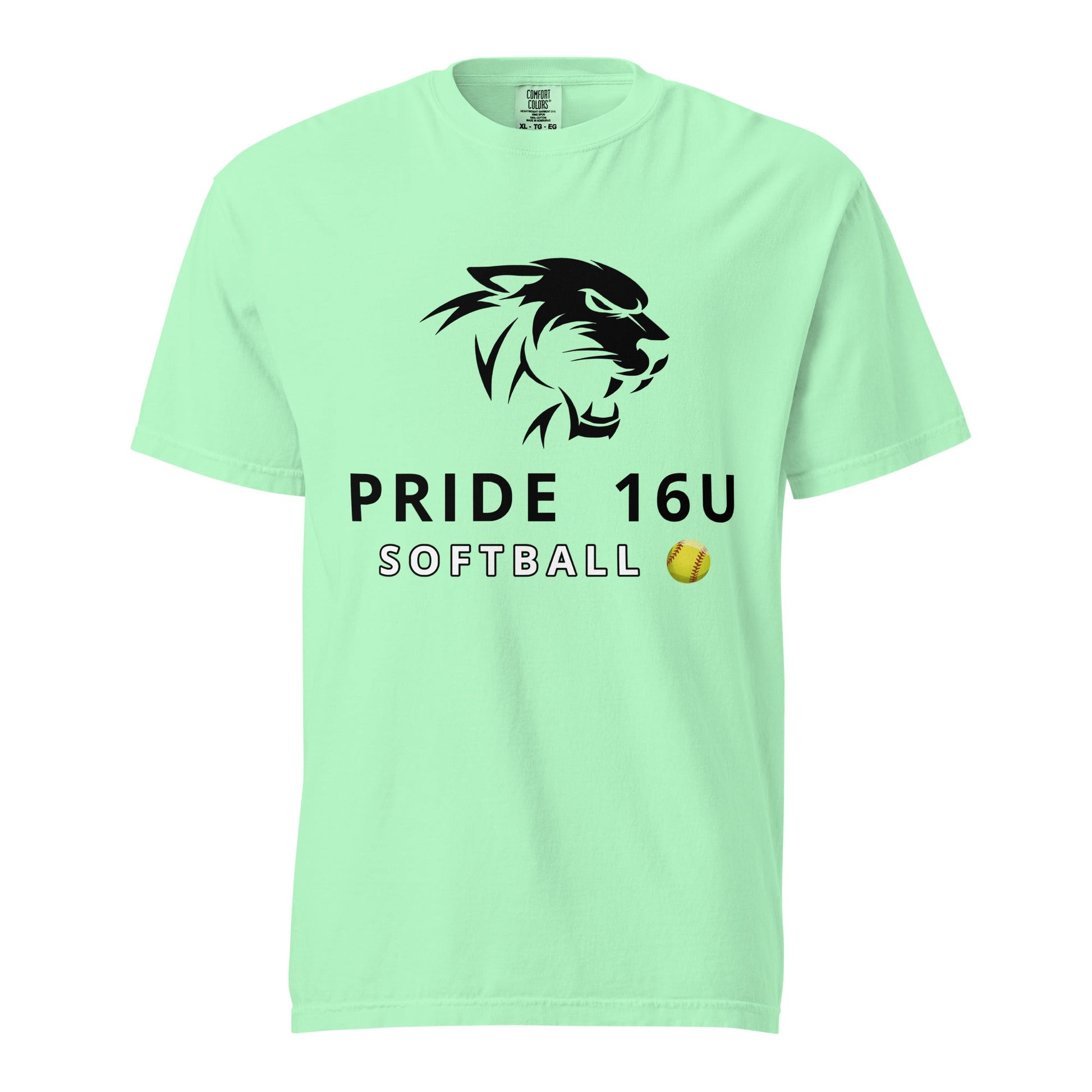 Signature | Comfort Colors T-Shirt | NNY Pride Softball | Emblem Logo
