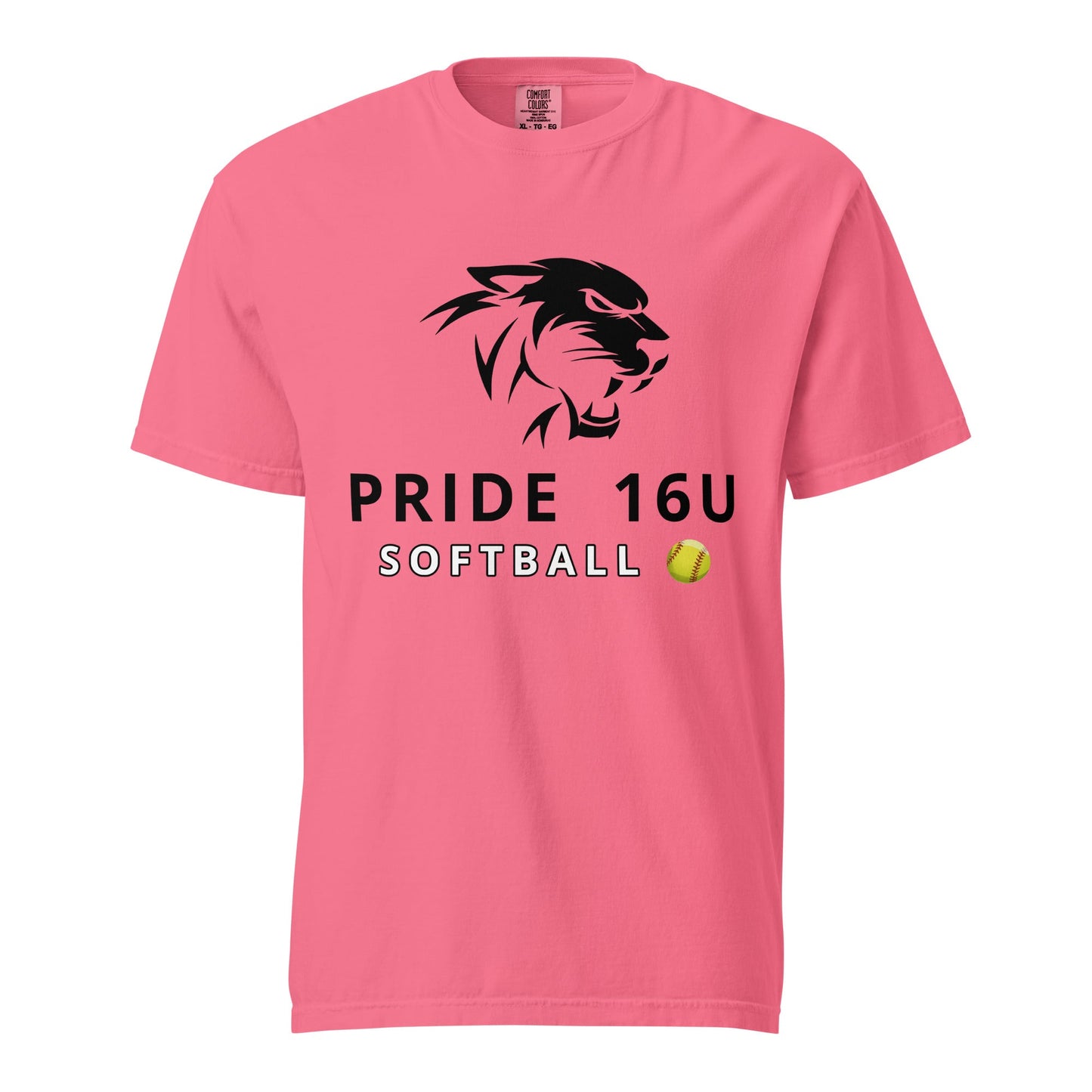 Signature | Comfort Colors T-Shirt | NNY Pride Softball | Emblem Logo