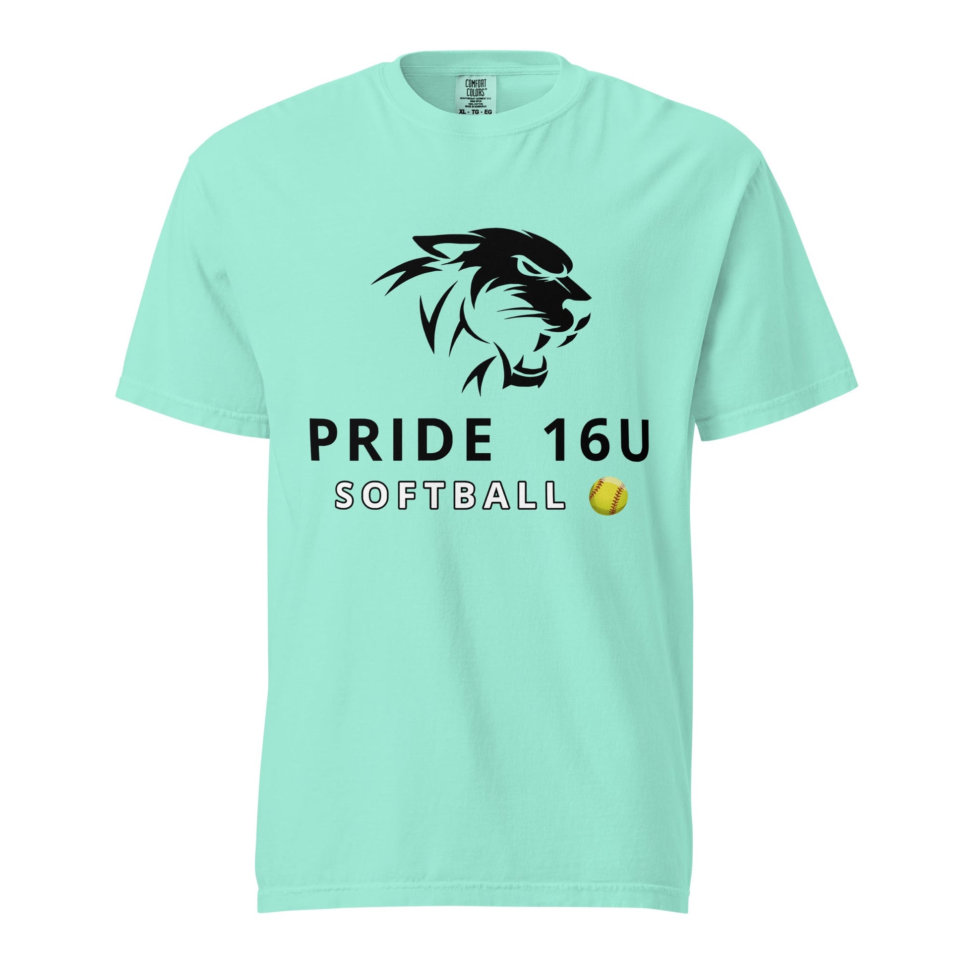 Signature | Comfort Colors T-Shirt | NNY Pride Softball | Emblem Logo