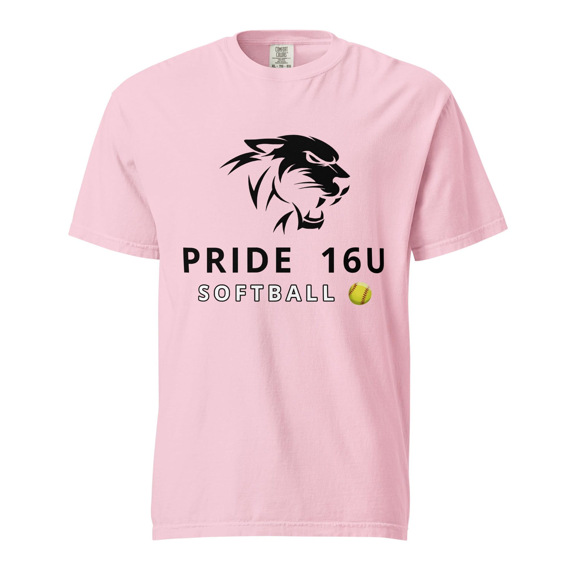 Signature | Comfort Colors T-Shirt | NNY Pride Softball | Emblem Logo