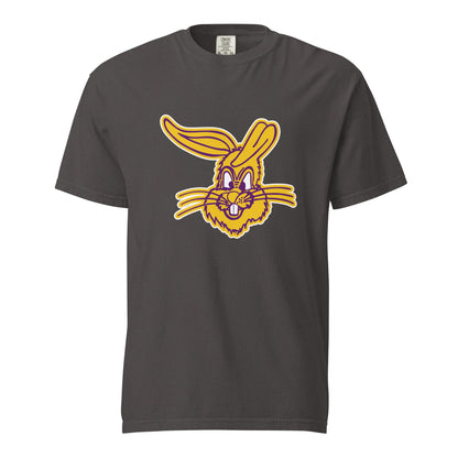 Signature | Comfort Colors T-Shirt | Somerset Athletics | Jumpers mascot Logo