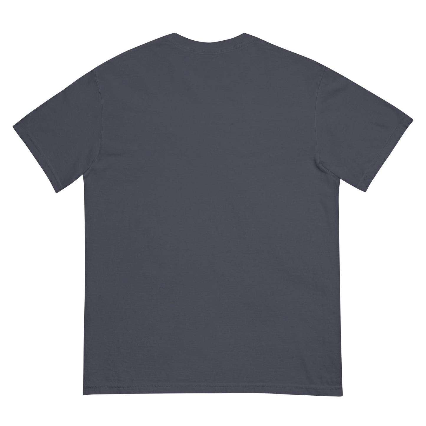 Signature | Comfort Colors T-Shirt | St. Paul Newman Center