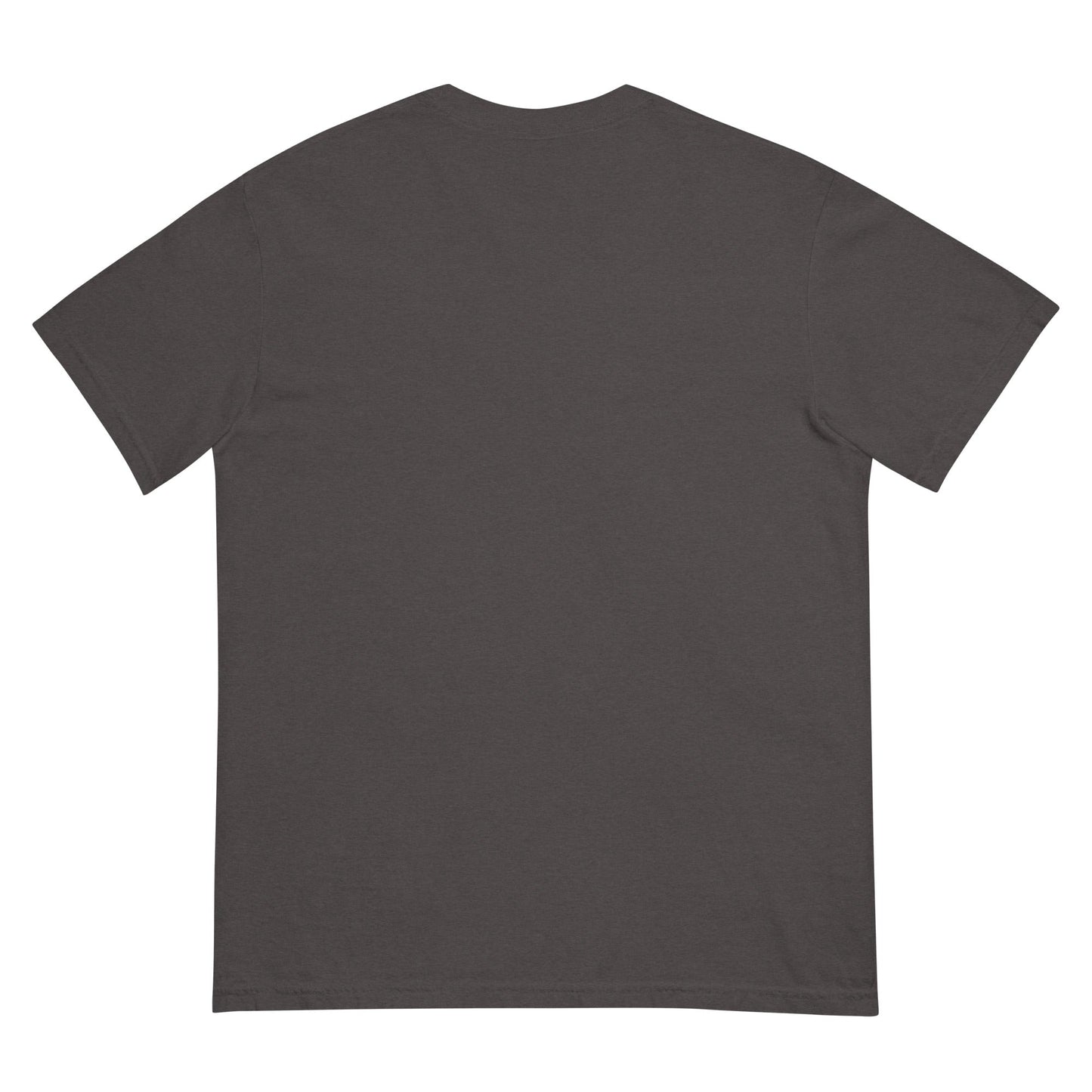 Signature | Comfort Colors T-Shirt | St. Paul Newman Center