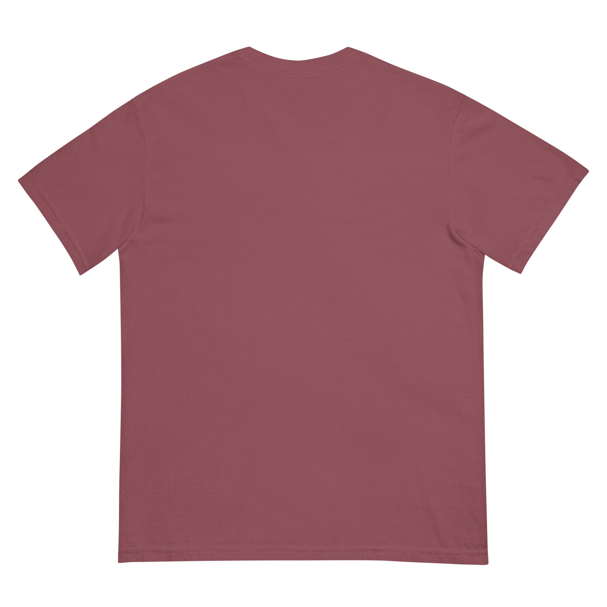 Signature | Comfort Colors T-Shirt | St. Paul Newman Center