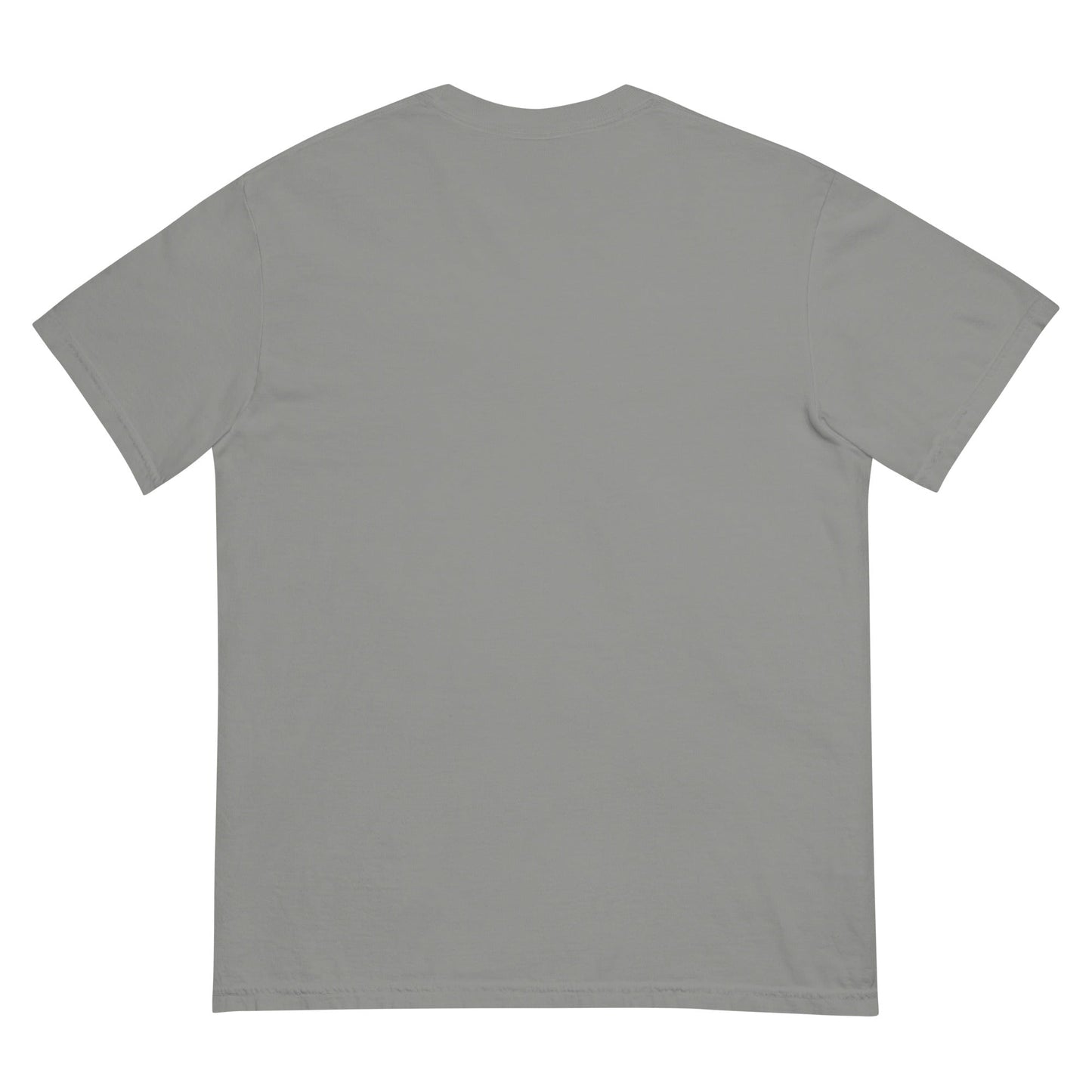 Signature | Comfort Colors T-Shirt | St. Paul Newman Center