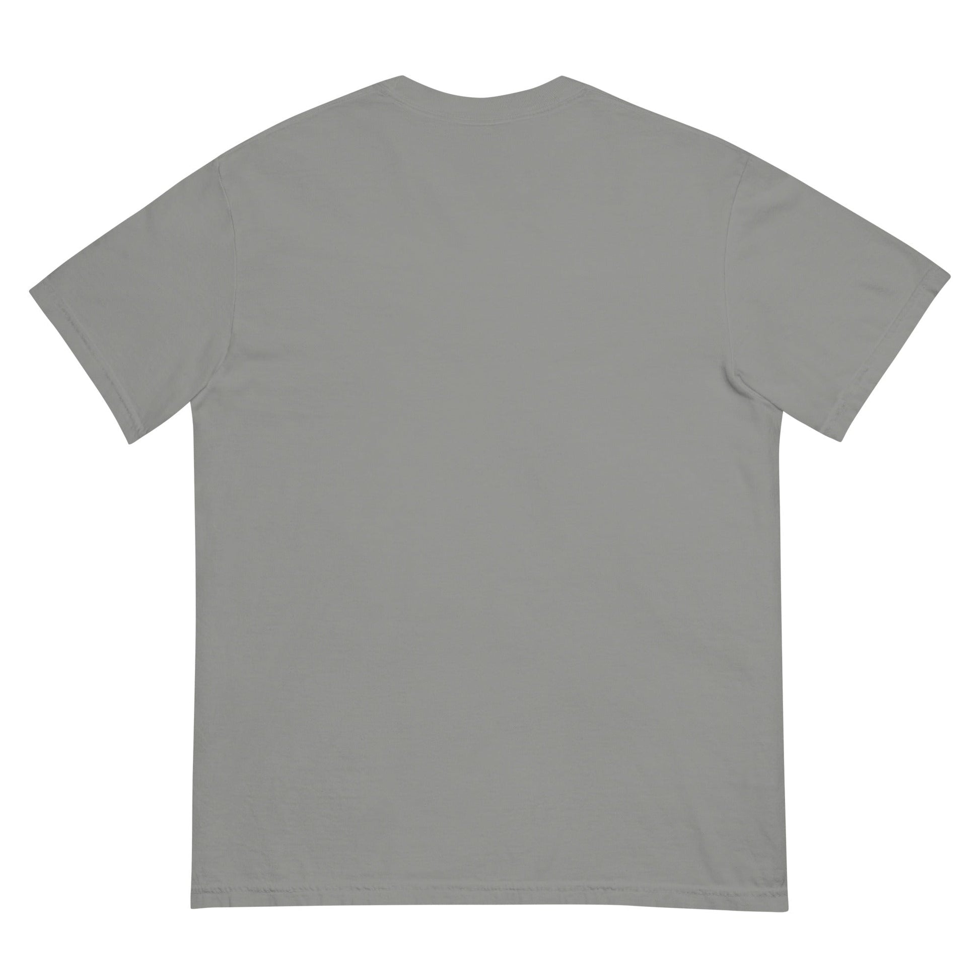Signature | Comfort Colors T-Shirt | St. Paul Newman Center