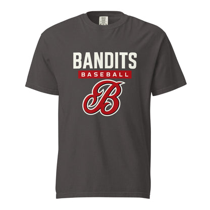 Signature | Comfort Colors T-Shirt | Tri - City Baseball | Varsity Script Logo