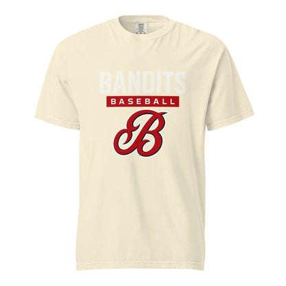 Signature | Comfort Colors T-Shirt | Tri - City Baseball | Varsity Script Logo