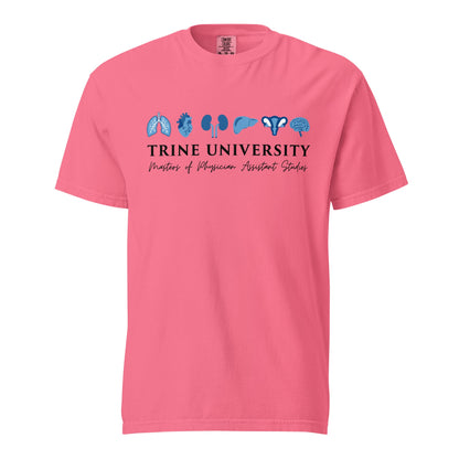 Signature | Comfort Colors T-Shirt | Trine PA program | Modern Script Logo