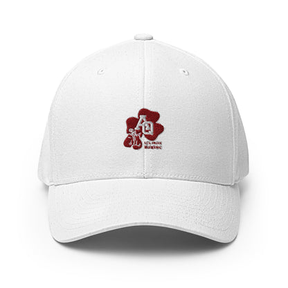 Signature | Flexfit Baseball Cap | Aquinas Li’l Irish Boxing | AQ Shamrock Logo