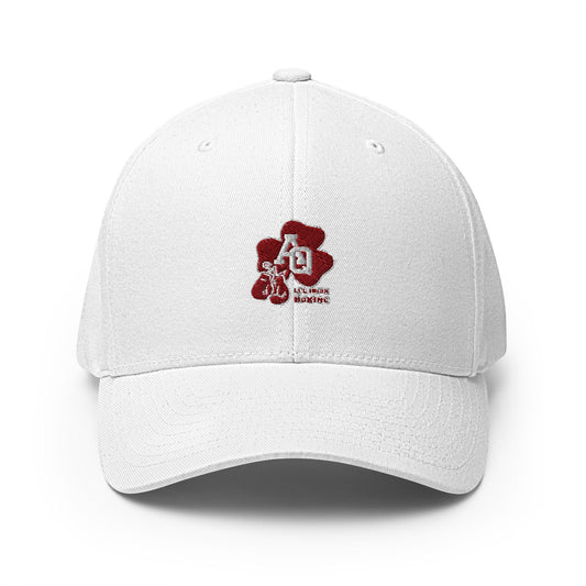 Signature | Flexfit Baseball Cap | Aquinas Li’l Irish Boxing | AQ Shamrock Logo