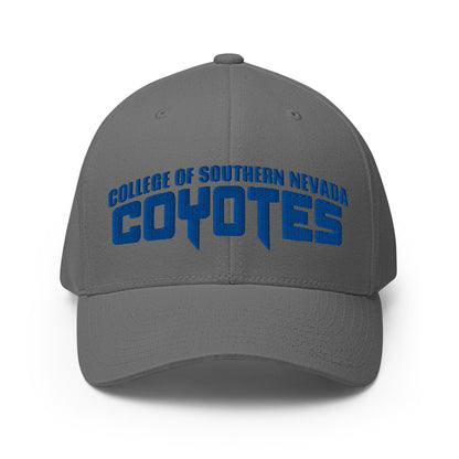 Signature | Flexfit Baseball Cap | CSN Volleyball | Script Logo