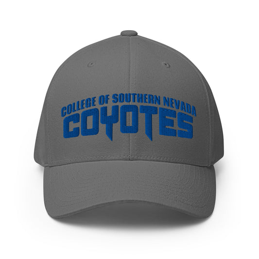 Signature | Flexfit Baseball Cap | CSN Volleyball | Script Logo