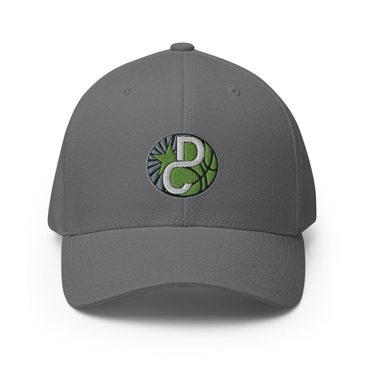 Signature | Flexfit Baseball Cap | Dream Chasers | DC Logo