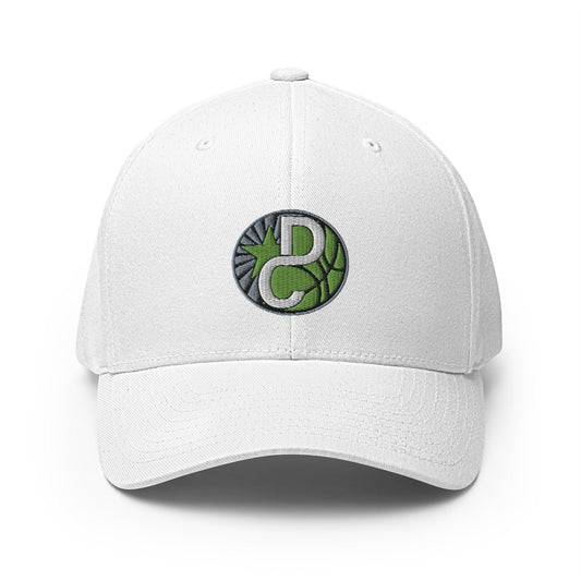 Signature | Flexfit Baseball Cap | Dream Chasers | DC Logo