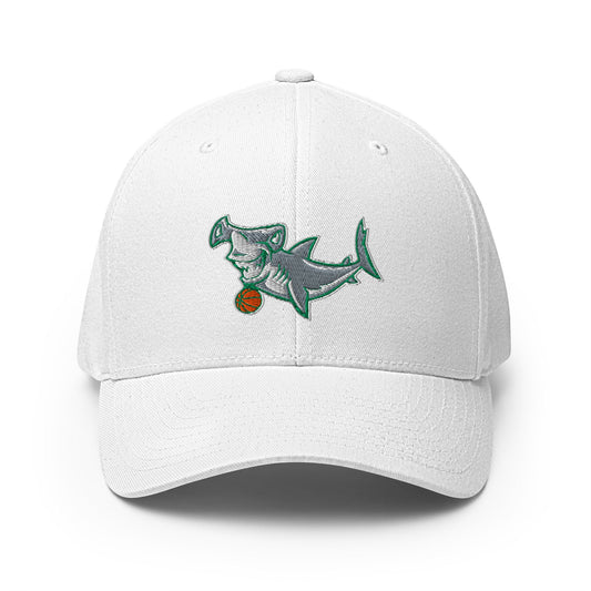 Signature | Flexfit Baseball Cap | Hammerheads Basketball | Alt Logo