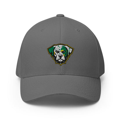 Signature | Flexfit Baseball Cap | Lake Erie Power Pines | Mascot Logo