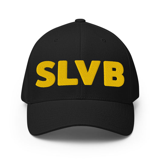 Signature | Flexfit Baseball Cap | SLVB | Script Logo