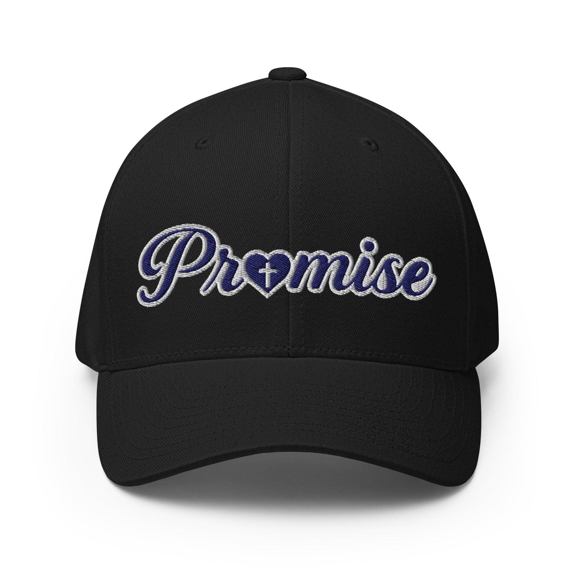 Signature | Flexfit Baseball Cap | Sons and Daughters of Promise, Inc. | Mark Logo