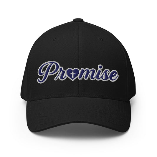 Signature | Flexfit Baseball Cap | Sons and Daughters of Promise, Inc. | Mark Logo