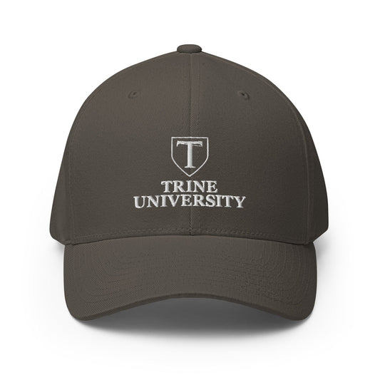 Signature | Flexfit Baseball Cap | Trine PA program | Emblem Logo