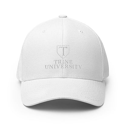 Signature | Flexfit Baseball Cap | Trine PA program | Emblem Logo