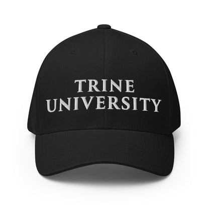 Signature | Flexfit Baseball Cap | Trine PA program | Modern Script Logo