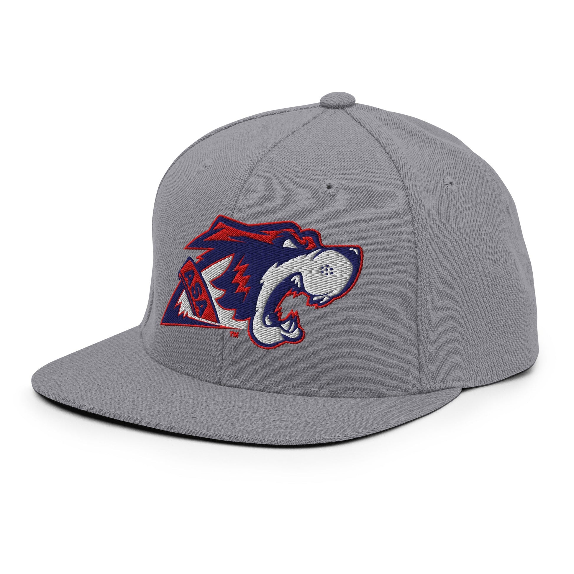 Snapback Hat | All Saints Academy Lacrosse | Mascot Logo