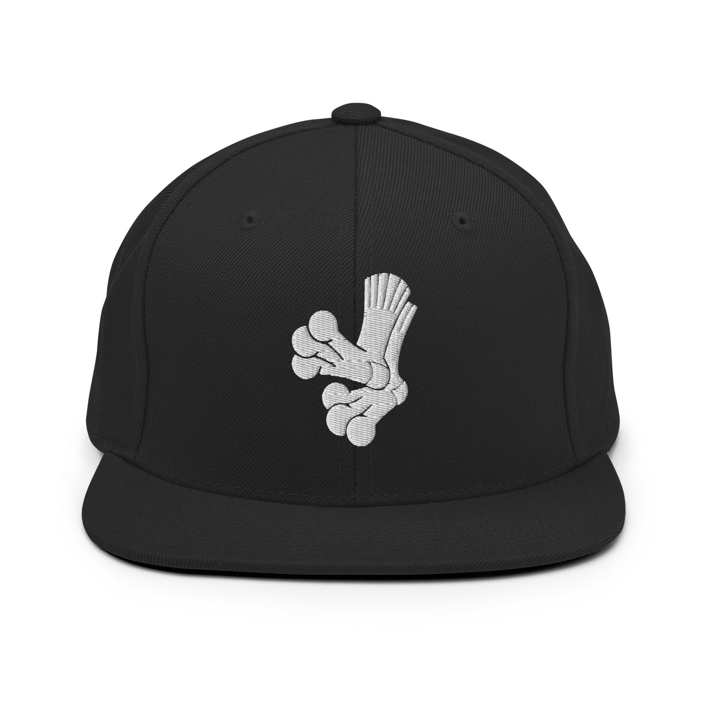 Snapback Hat | Aquasox Softball | Athletic Sock Logo