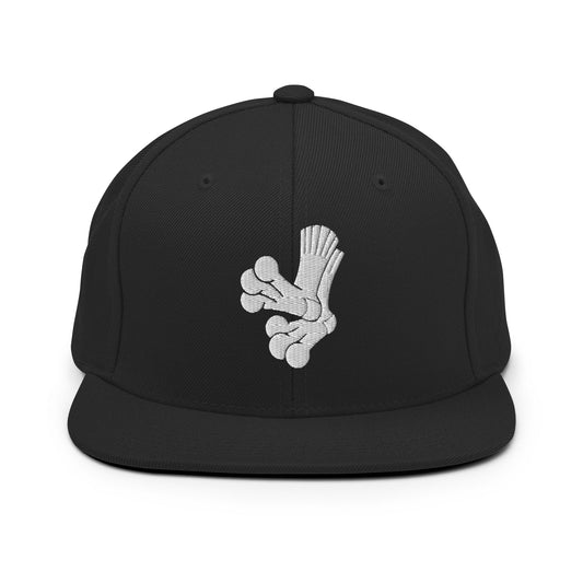 Snapback Hat | Aquasox Softball | Athletic Sock Logo