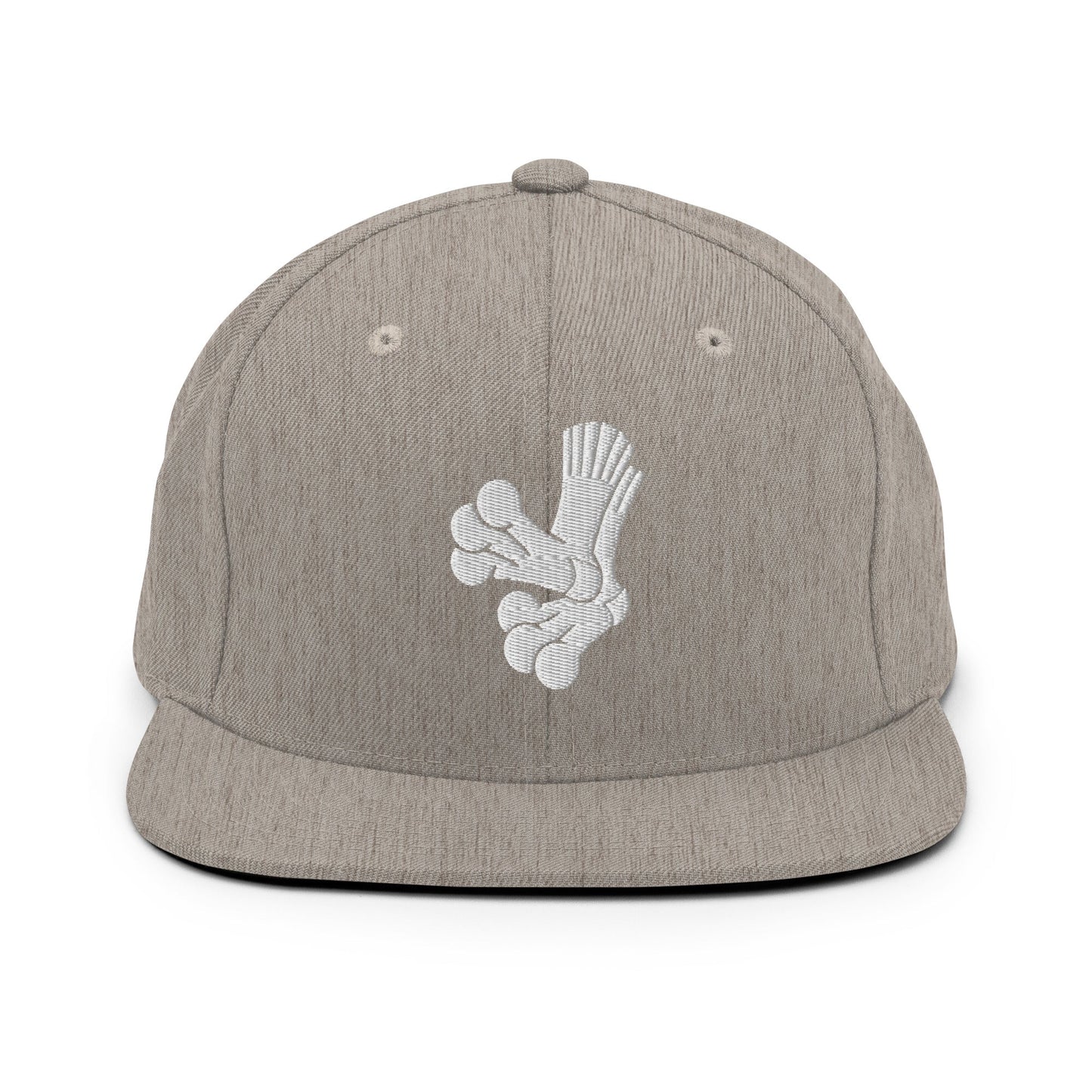Snapback Hat | Aquasox Softball | Athletic Sock Logo