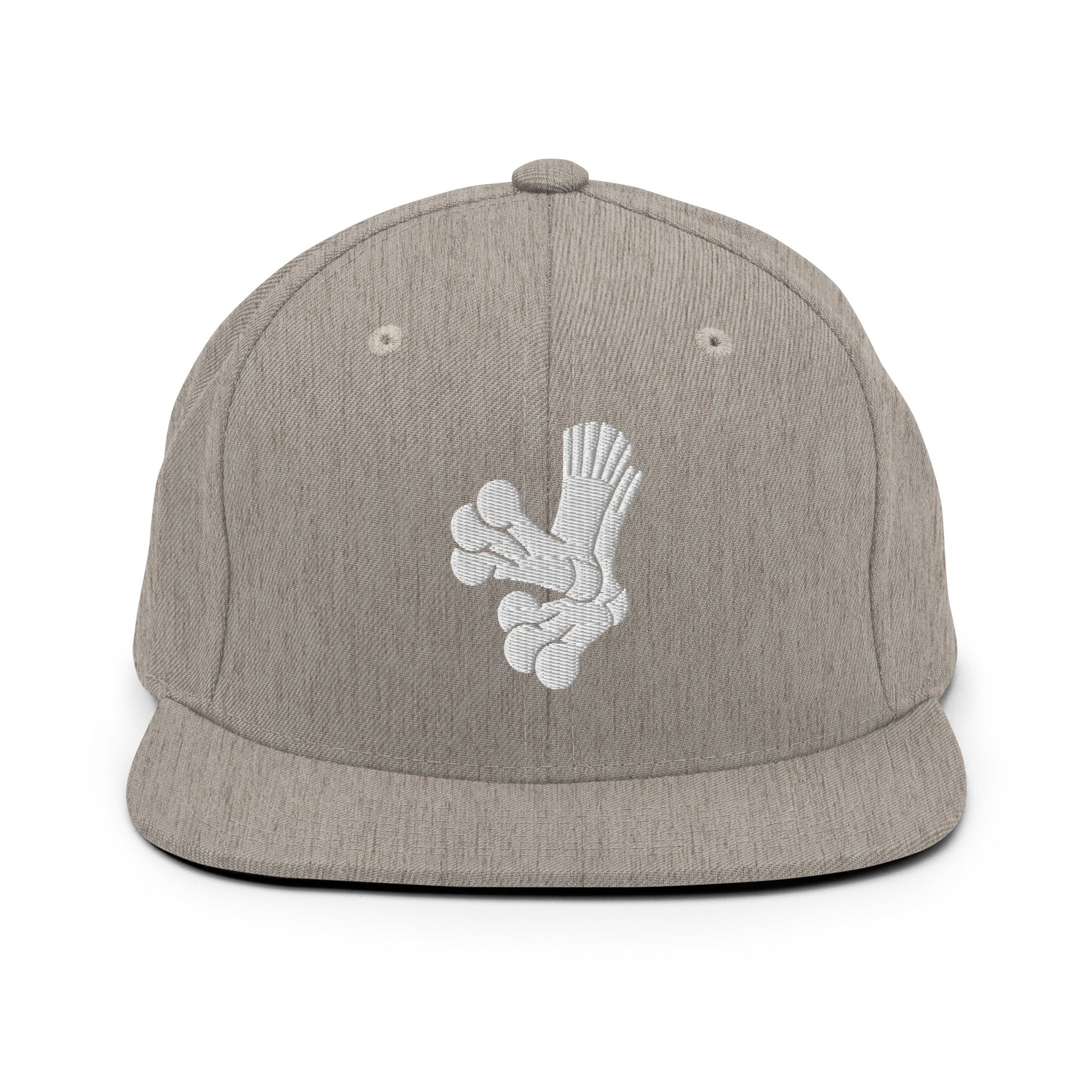 Snapback Hat | Aquasox Softball | Athletic Sock Logo